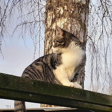 Brosarp Kallagarden Stora Gardslagenheten Esterno foto