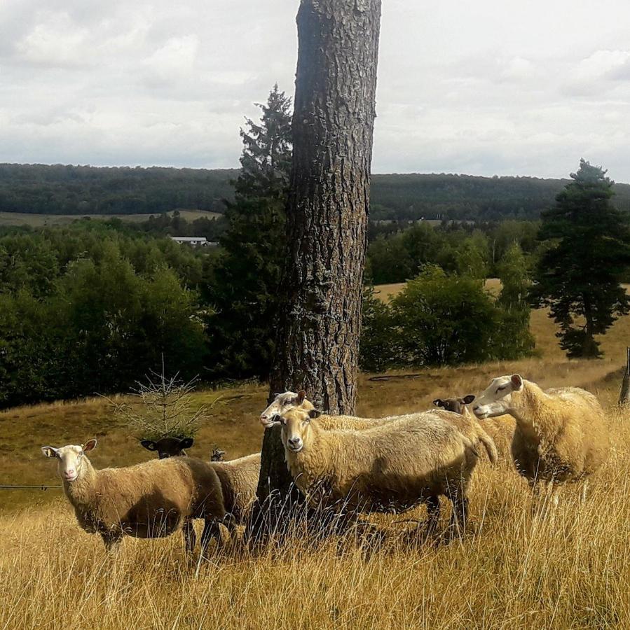 Broesarp Kaellagarden Stora Gardslaegenheten Esterno foto