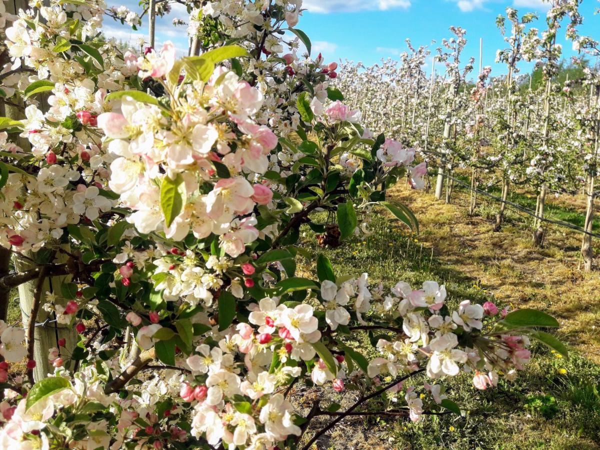 Broesarp Kaellagarden Stora Gardslaegenheten Esterno foto