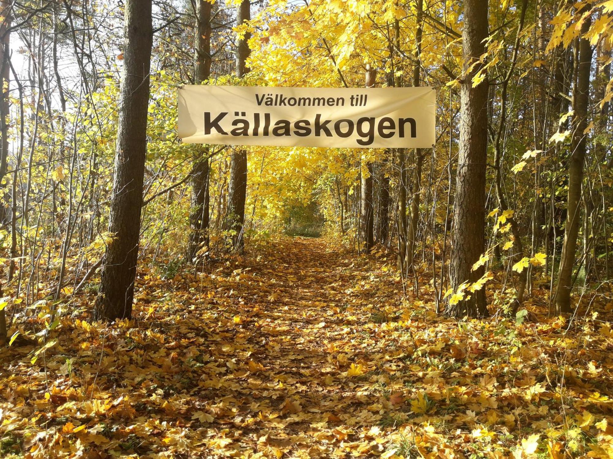 Broesarp Kaellagarden Stora Gardslaegenheten Esterno foto