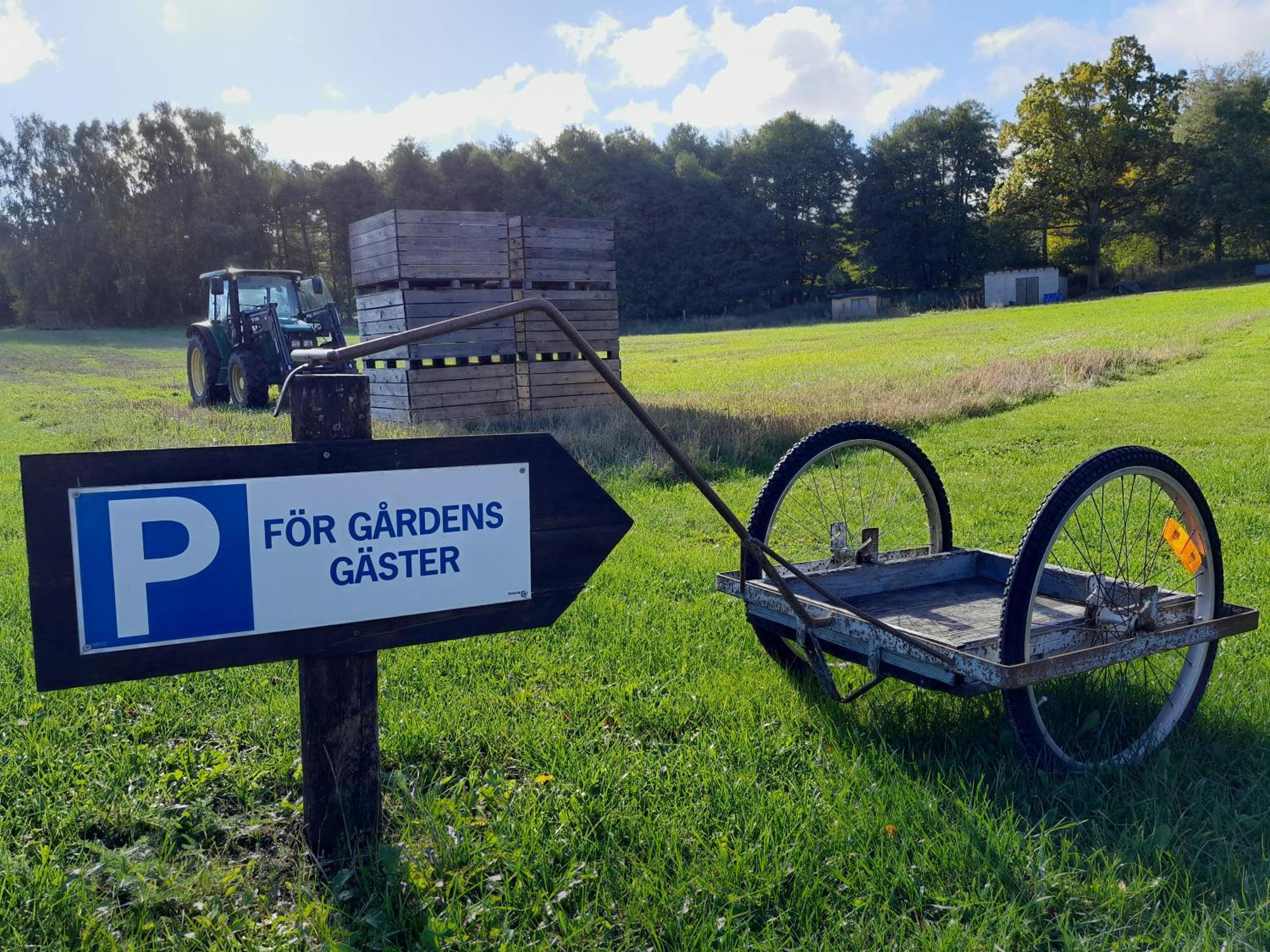 Broesarp Kaellagarden Stora Gardslaegenheten Esterno foto