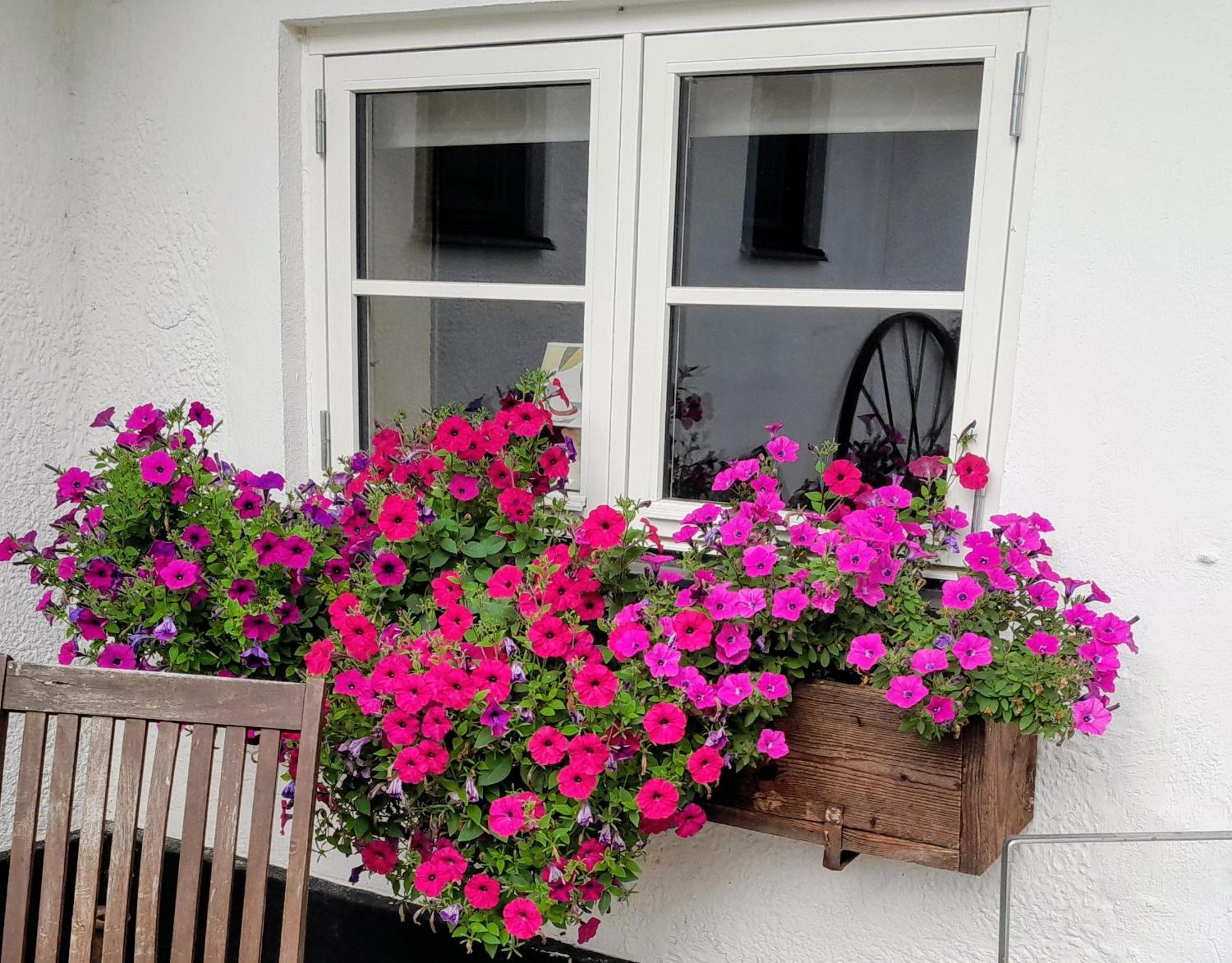 Broesarp Kaellagarden Stora Gardslaegenheten Esterno foto